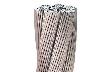 215 (1).png
